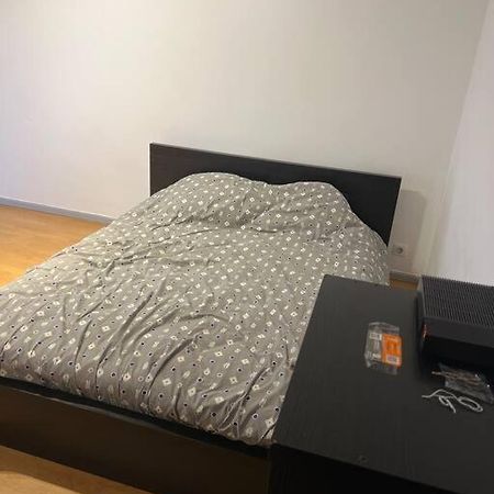 Апартаменты Studio A 2 Minutes De La Gare Мюлуз Экстерьер фото
